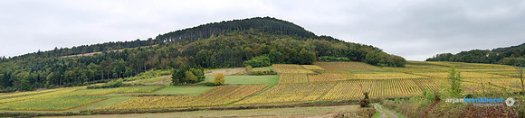 Arjan Bronkhorst_Maconnais_Panorama_100dpi