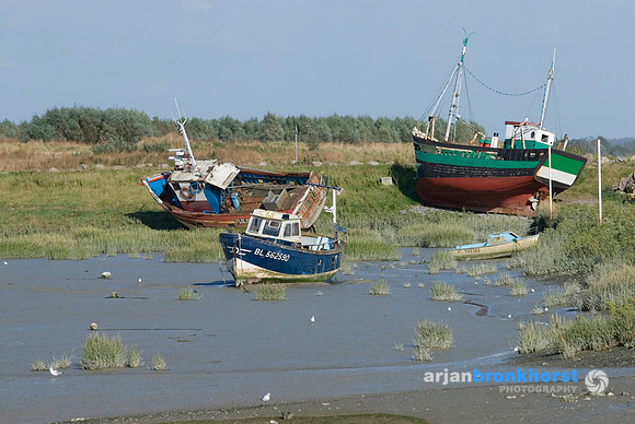 EFM_1.0076_a_100dpi