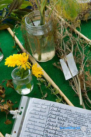 EFM_1.0319_a_100dpi